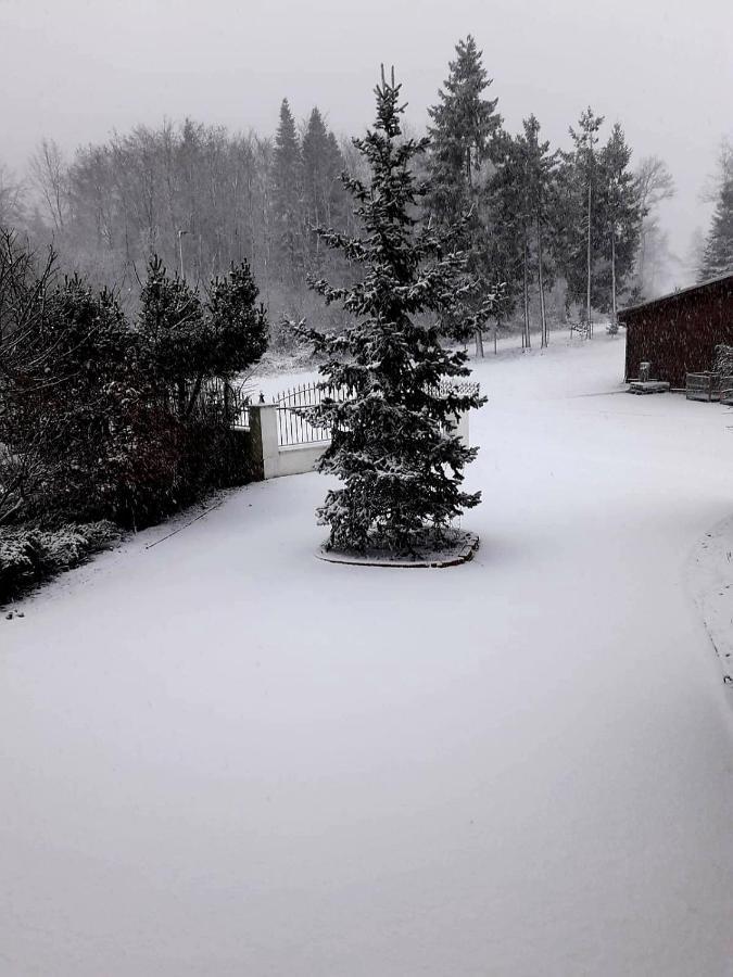 Ferienwohnung Im Westerwald Mengerskirchen Ngoại thất bức ảnh